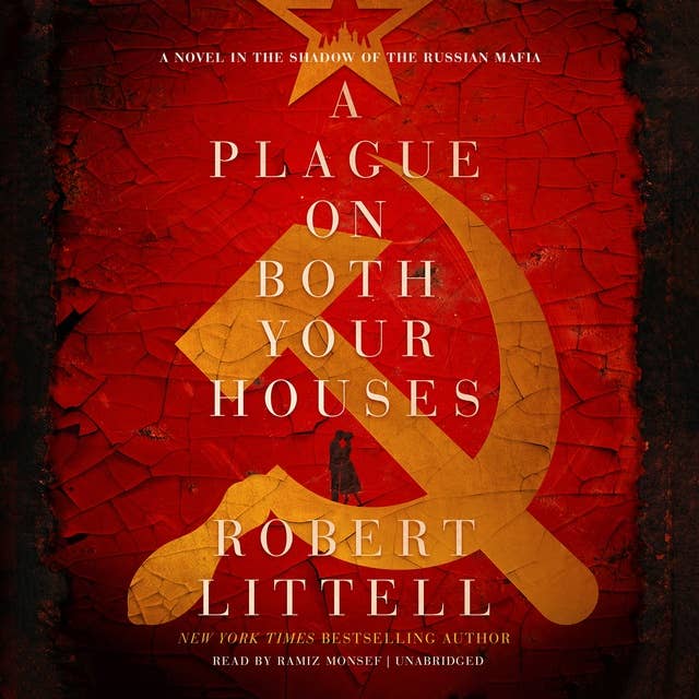 A Plague on Both Your Houses: A Novel in the Shadow of the Russian Mafia