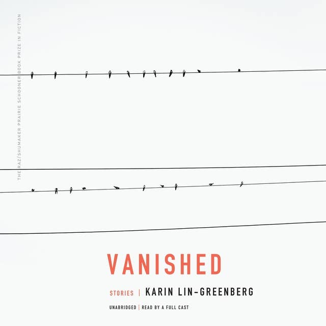 Cover for Vanished: Stories
