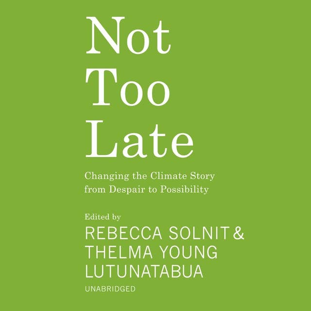 Cover for Not Too Late: Changing the Climate Story from Despair to Possibility