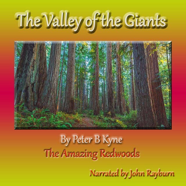 The Valley of the Giants: The Amazing Redwoods