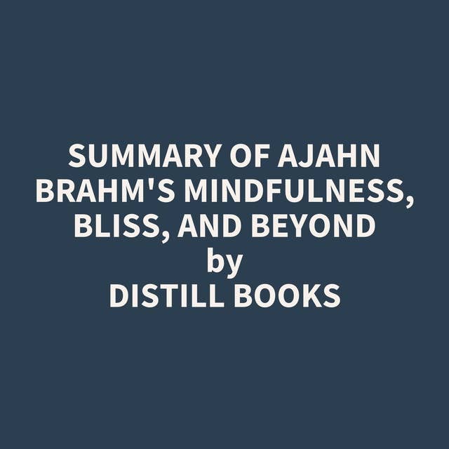 Summary of Ajahn Brahm's Mindfulness, Bliss, and Beyond