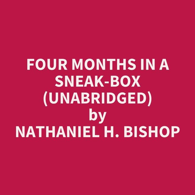 Four Months in a Sneak-Box (Unabridged): optional