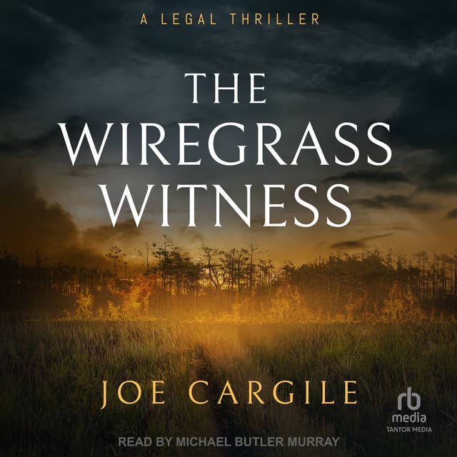 The Wiregrass Witness: A Legal Thriller