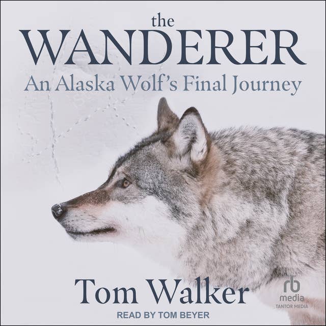Cover for The Wanderer: An Alaska Wolf's Final Journey