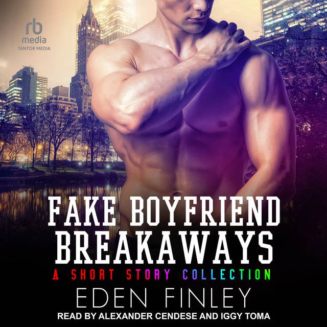 Fake Boyfriend Breakaways: A Short Story Collection