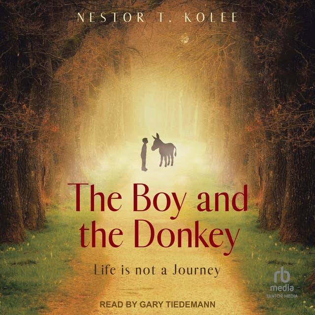The Boy and the Donkey: Life is Not a Journey