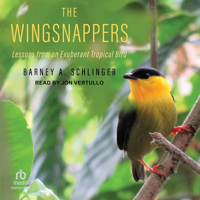 The Wingsnappers: Lessons from an Exuberant Tropical Bird