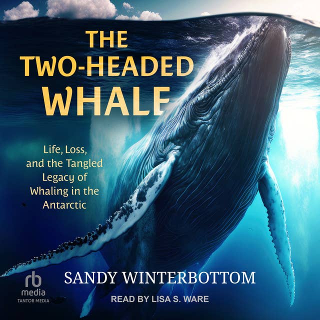 The Two-Headed Whale: Life, Loss, and the Tangled Legacy of Whaling in the Antarctic