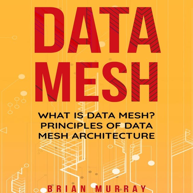 Data Mesh: Delivering Data-Driven Value at Scale - หนังสือเสียง - Zhamak  Dehghani - Storytel