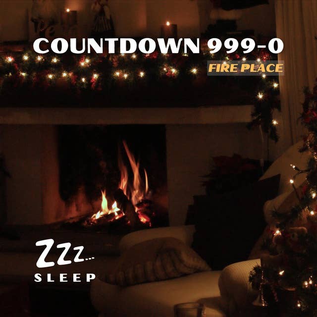 Cover for Countdown 999-0: Fire Place