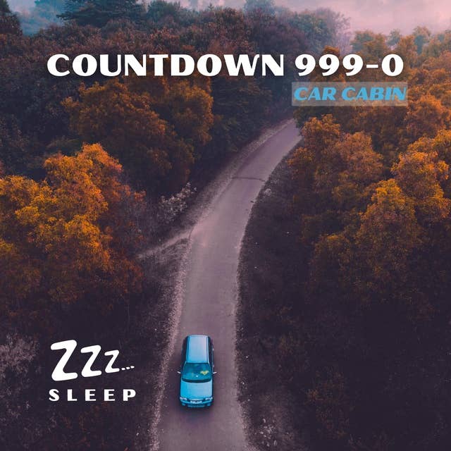 Countdown 999-0: Car Cabin