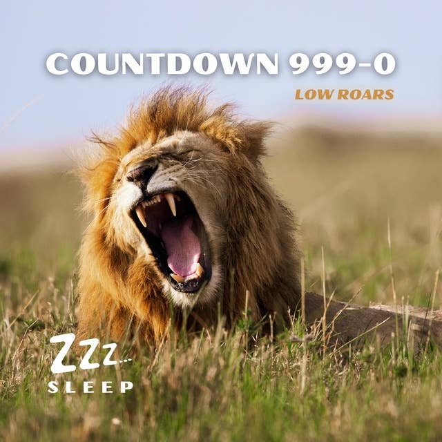 Countdown 999-0: Low Roars