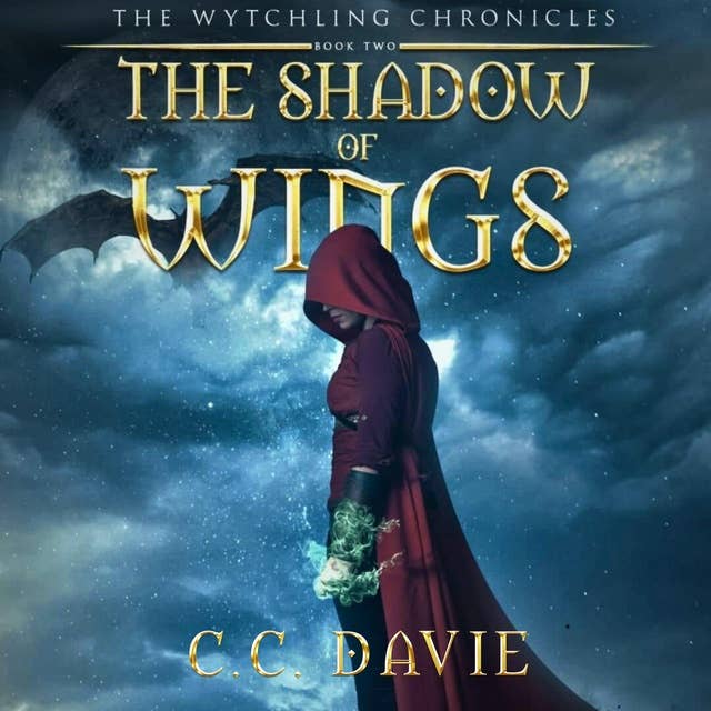 The Shadow of Wings