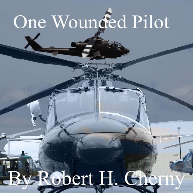 One Wounded Pilot: And the Family that Loves Her
