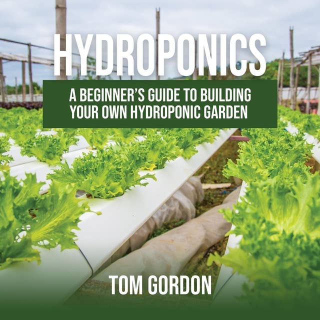 Hydroponics: A Beginner’s Guide to Building Your Own Hydroponic Garden