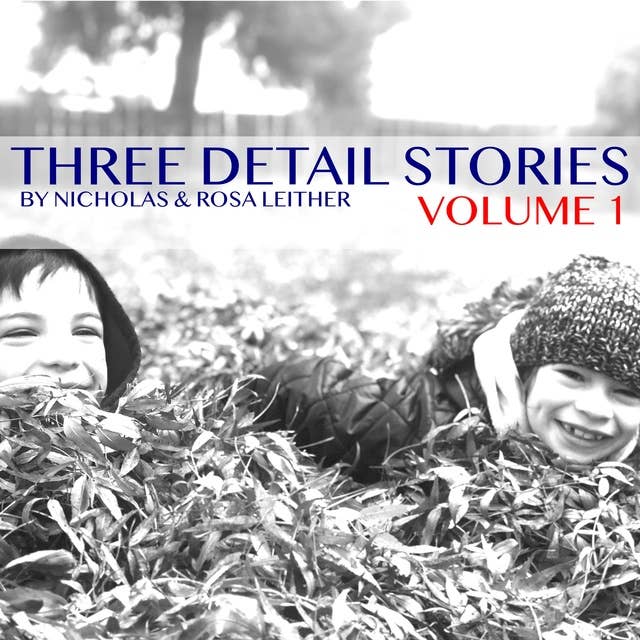 Three Detail Stories: Volume 1