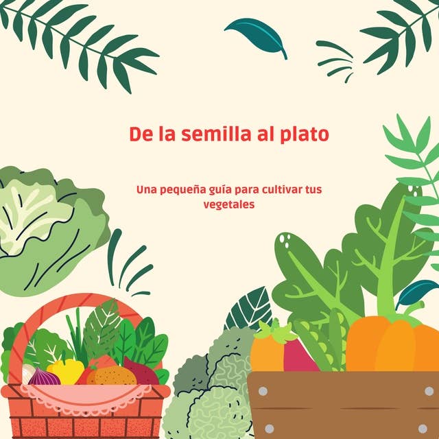 De la semilla al plato: Una pequeña guía para cultivar tus vegetales