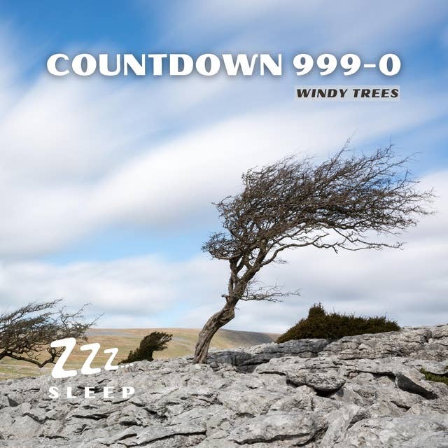 Countdown 999-0: Windy Trees