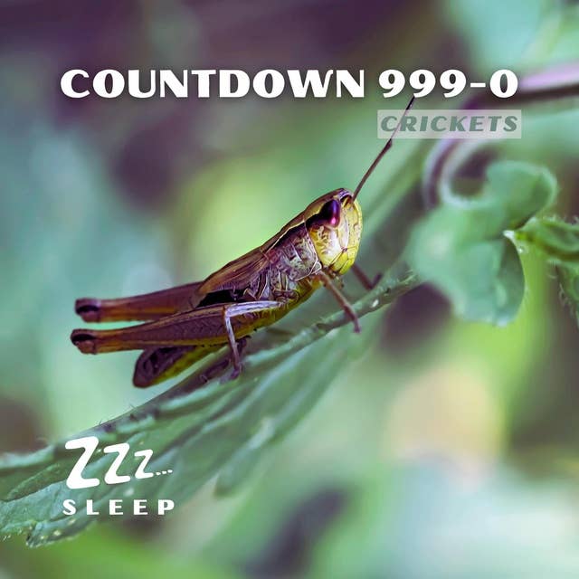 Countdown 999-0: Crickets