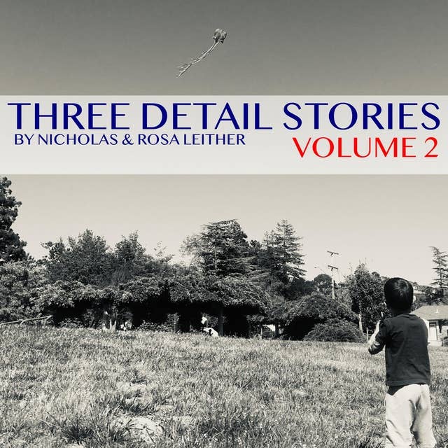 Three Detail Stories: Volume 2