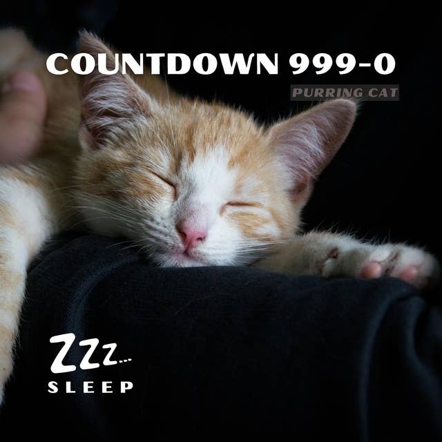 Countdown 999-0: Purring Cat