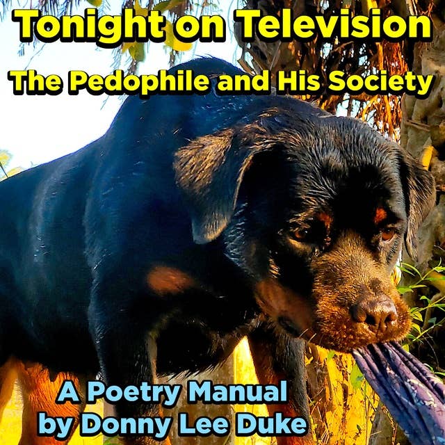 Tonight on Television: The Pedophile and His Society, A Poetry Manual