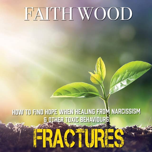 Fractures: How to find hope when healing from narcissism and other toxic behaviours