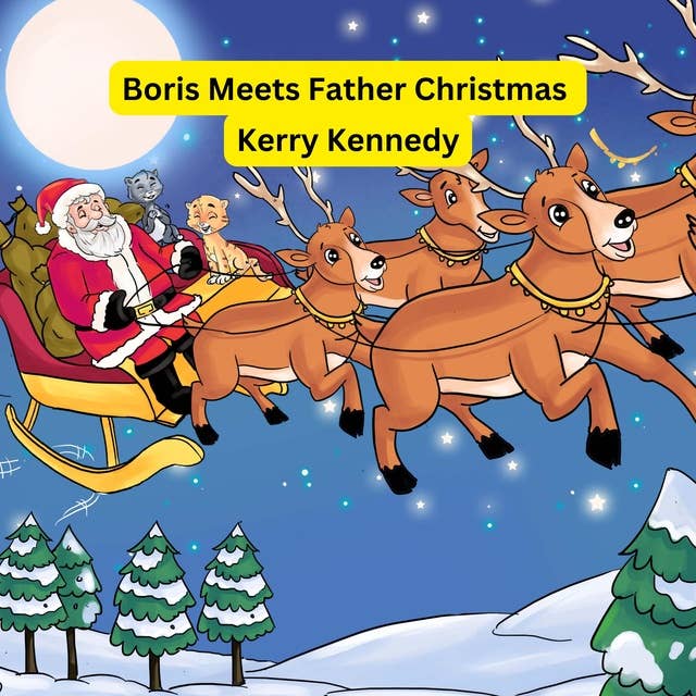 Boris Meets Father Christmas: Children´sbook for0-6years old.