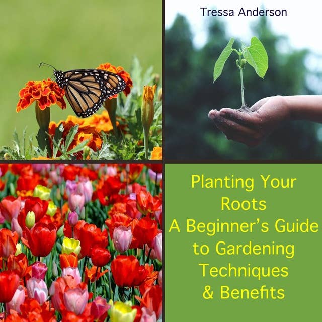 Planting Your Roots: A Beginner's Guide to Gardening Techniques and Benefits