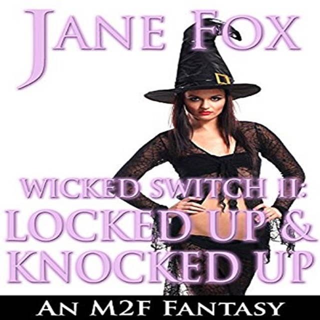 Wicked Switch II: Locked Up & Knocked Up, An M2F Fantasy