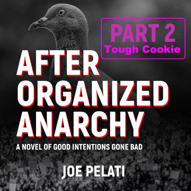 After Organized Anarchy: Part 2. Tough Cookie: A novel of good intentions gone bad
