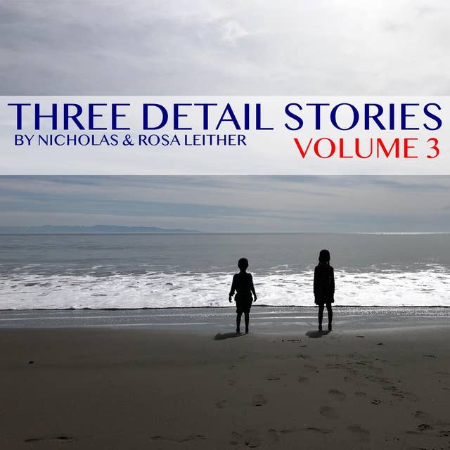 Three Detail Stories: Volume 3
