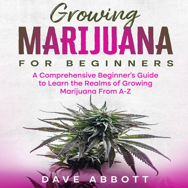 Growing Marijuana For Beginners: A Comprehensive Beginner’s Guide to Learn the Realms of Growing Marijuana From A-Z