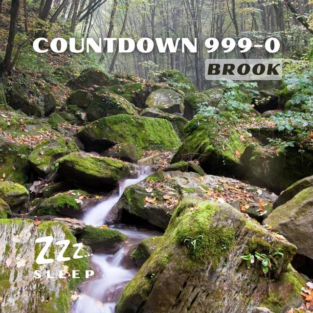 Countdown 999-0: Brook
