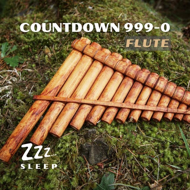 Countdown 999-0: Flute