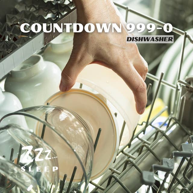 Countdown 999-0: Dishwasher
