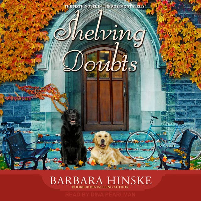 Cover for Shelving Doubts