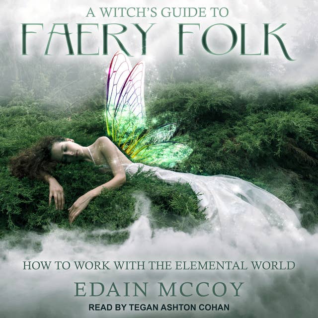 A Witch's Guide to Faery Folk: How to Work with the Elemental World