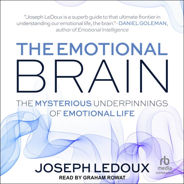 The Emotional Brain: The Mysterious Underpinnings of Emotional Life