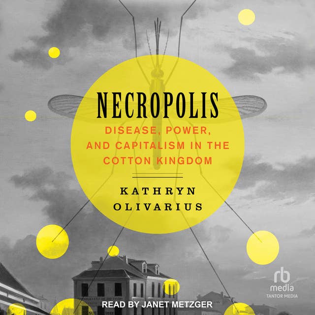 Necropolis: Disease, Power, and Capitalism in the Cotton Kingdom