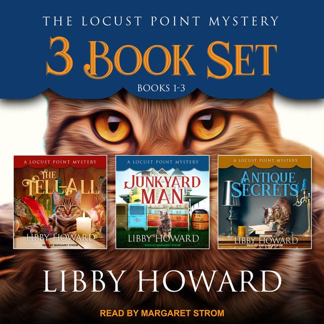 Locust Point Mystery 3 Book Set: Books 1-3