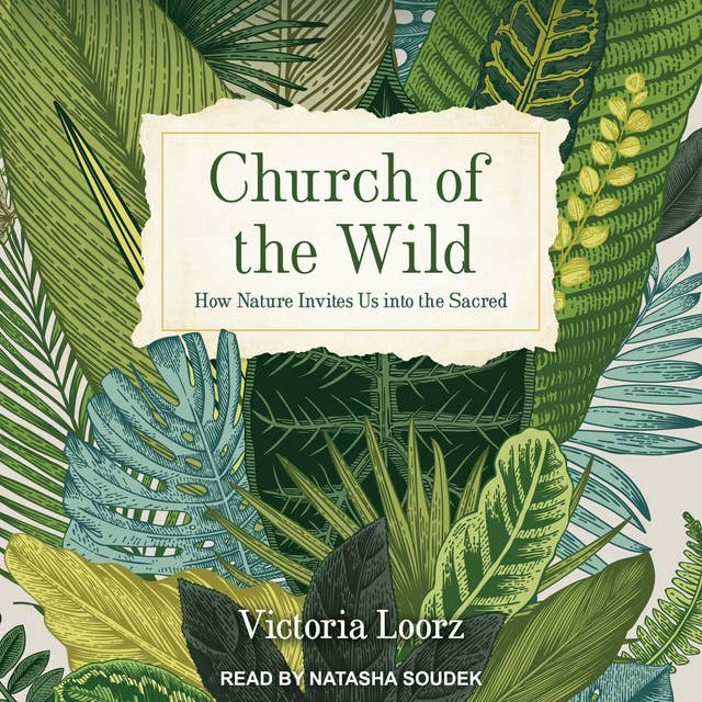Church of the Wild: How Nature Invites Us into the Sacred