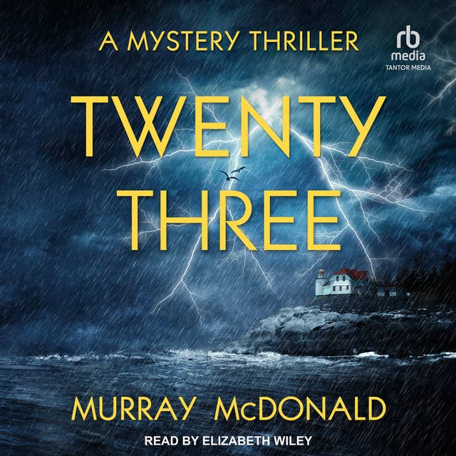 Twenty Three: A Mystery Thriller