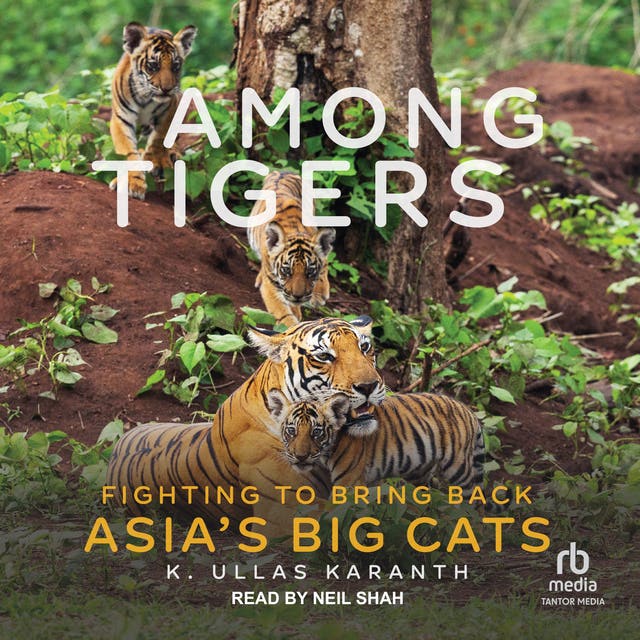 Among Tigers: Fighting to Bring Back Asia's Big Cats - Audiobook - K