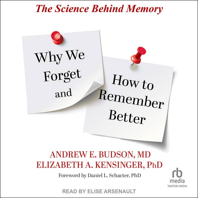 Why We Forget and How To Remember Better: The Science Behind Memory