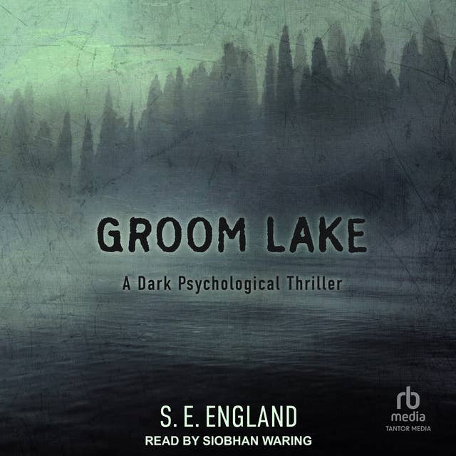 Groom Lake: A Dark Psychological Thriller