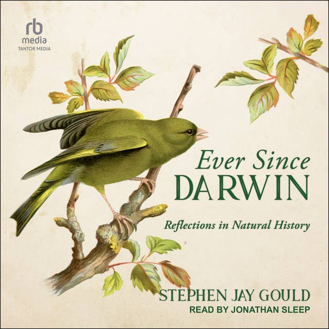 Cover for Ever Since Darwin: Reflections in Natural History