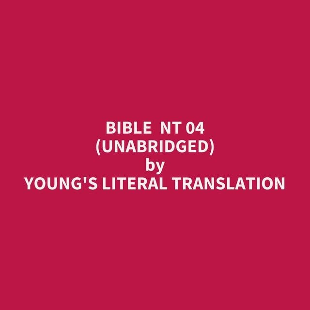 Bible NT 04 (Unabridged): optional