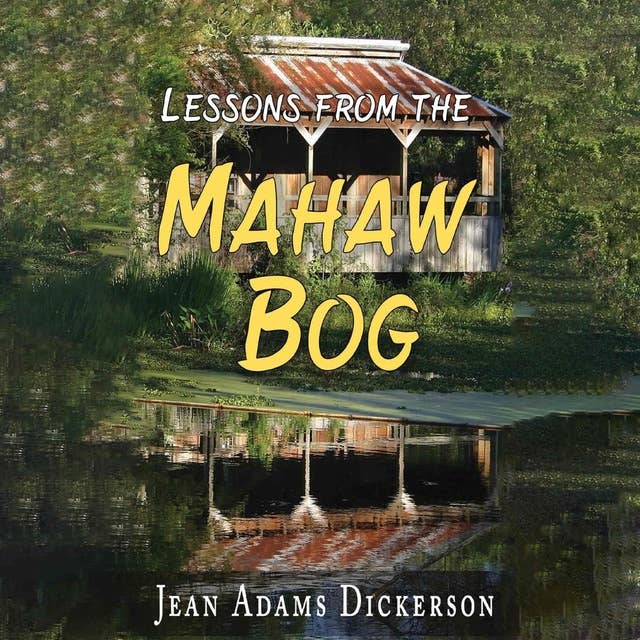 Lessons from the Mahaw Bog