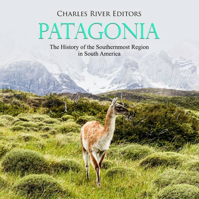 Patagonia: The History of the Southernmost Region in South America